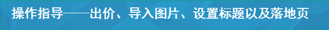 操作指导——出价、导入图片、设置标题以及落地页