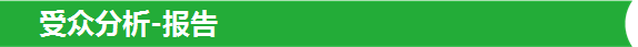 受众分析-报告