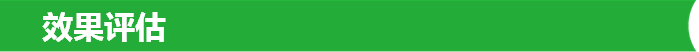 效果评估