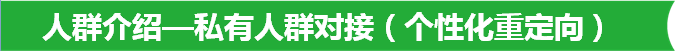 人群介绍—私有人群对接（个性化重定向）