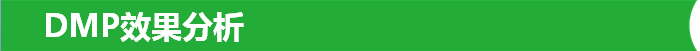 DMP效果分析