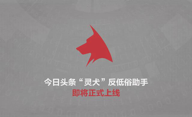 面对30位反低俗测试员的吐槽，我们找来了“灵犬”一一解答