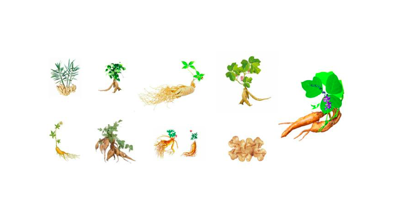 uc头条推广好创意+好工具=小成本+高转化