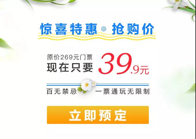 朋友圈的广告惊喜价格+表单设计这种投放吸引人