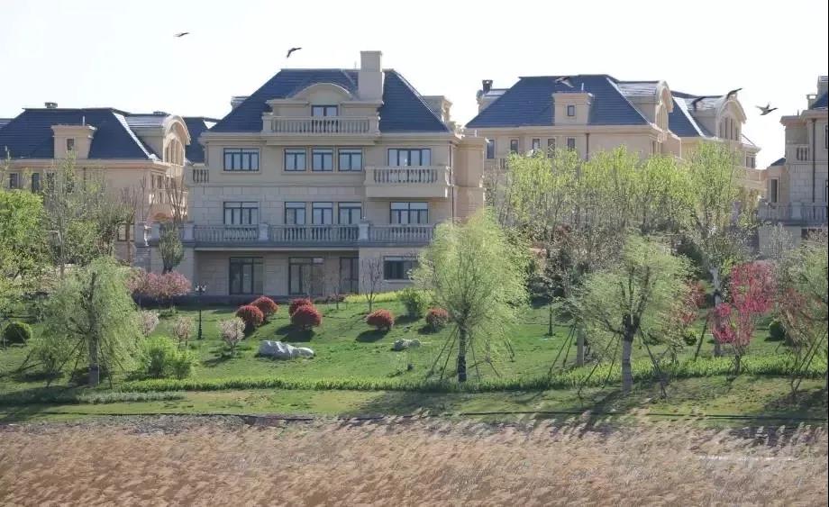 博纳庄园在2019年新项目开盘上市之际，与360智慧商业合作，精准圈定人群、全方位覆盖资源，巧妙地利用“葡萄采摘节”活动，降低消费者对别墅项目的心理门槛，吸引目标人群并向线下引流，同时提升了品牌知名度。