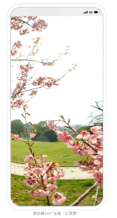 让樱花飘进朋友圈，让用户可以在“云上”零距离地感受这份来自春天与武汉的礼物。