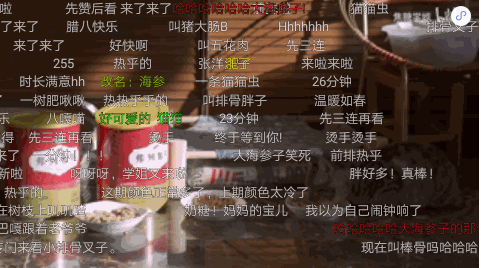 对哔哩哔哩宠物广告感兴趣的是哪些用户？