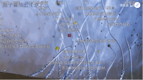 哔哩哔哩广告账户怎样开通？