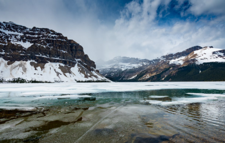 OPPO竞价广告怎么开户