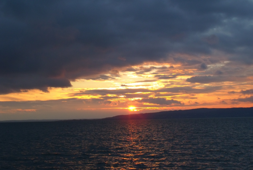 知乎投放广告有哪些优势？