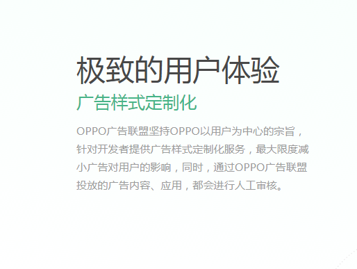 OPPO商店代运营