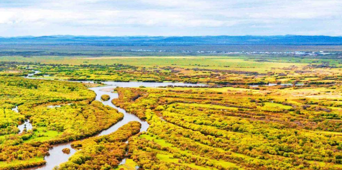 爱奇艺广告如何跳转落地页？落地页设计技巧有哪些？