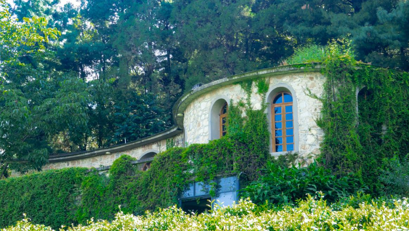 爱奇艺广告投放没展现的原因？应该如何优化？