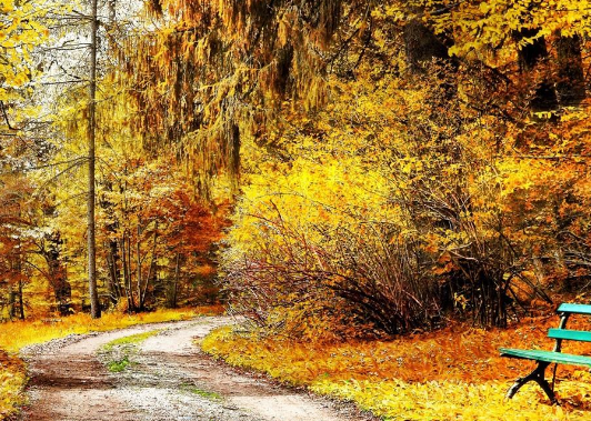 oppo广告是什么？有什么展现形式？