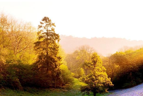 oppo广告投放打破了传统的植入式广告方式。