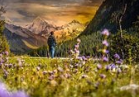 OPPO广告怎么开户？跑领券有什么政策？