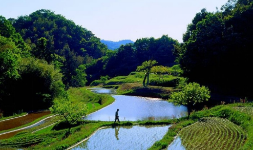 oppo广告怎么推广？OPPO广告竞价