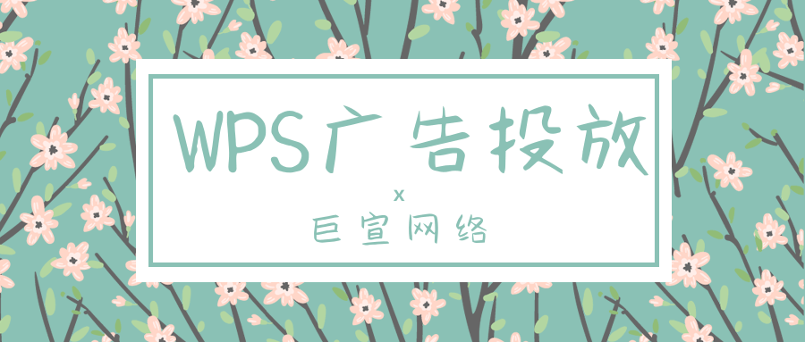 小说类的推广应该如何在WPS上进行？