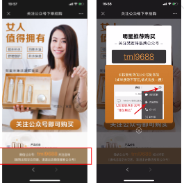 落地页参考案例