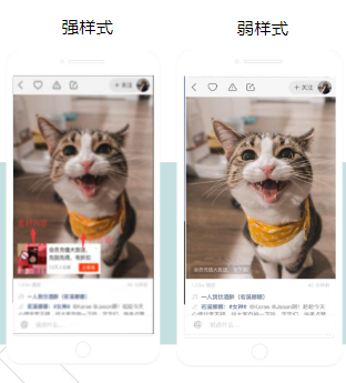 电商客户在投经验