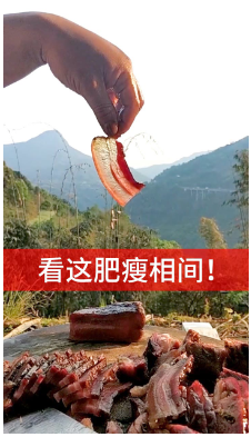 封面亮点