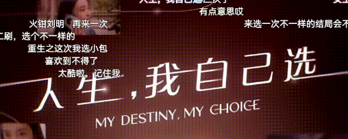 人生，我自己选