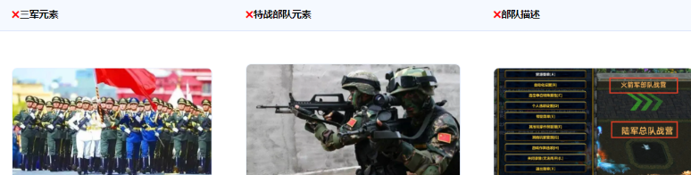 不得使用陆海空火箭军、战略支援部队等军种、部队描述等。