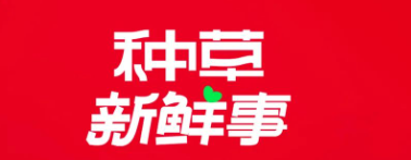 美妆3C家电汽车行业小红书广告营销热点资讯来了