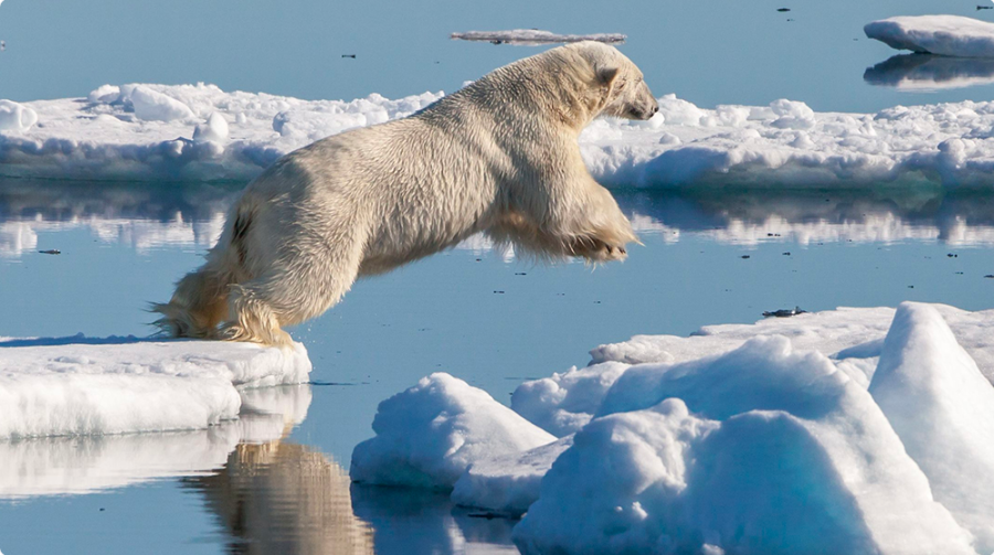 科技向善，腾讯广告推广让中国青年“对话未来”