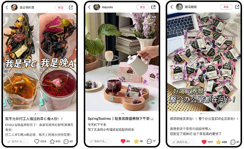 激发需求，CHALI用养颜茶种出小红书广告投放赛道TOP1