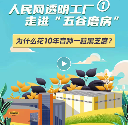 视频号的起号逻辑，公私域联动作为核心，合理运用生态工具