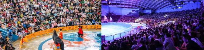 武汉极地突围五一创历史新高