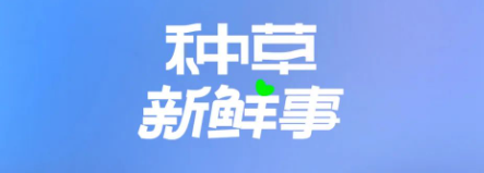 内衣行业私享会携手小红书广告推广破浪扬帆