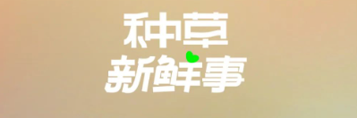 小红书广告推广|与宜家深化合作，携手并进开启新篇！