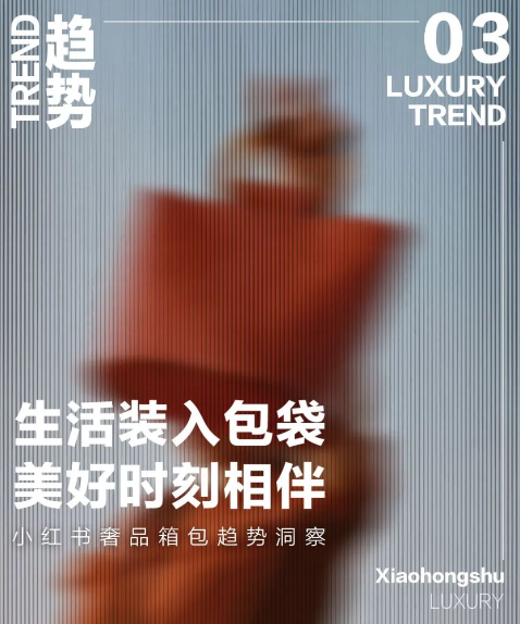 小红书广告投放助力奢品箱包探寻风格