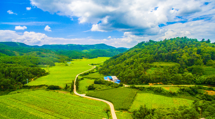微信广告推广附近推+免费赠品，快速招揽本地顾客
