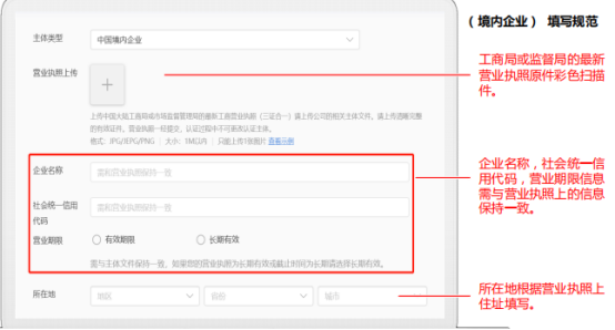 （境内企业）填写规范