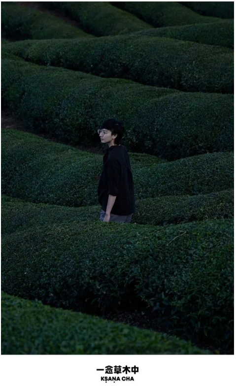 星品牌会客厅丨腾讯广告如何打造真正的DTC品牌？