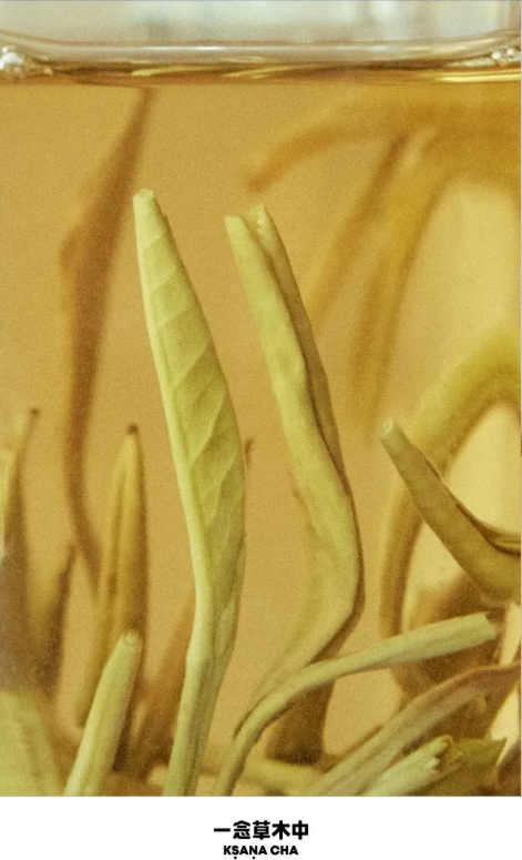 首先，一念明确了产品定位——中高端。夏正表示：“茶品类之前一直处于白牌阶段，行业特别容易进入一个低水平和高烈度的竞争中，尤其在线上用户根本买不到好茶。所以我们希望做一些‘拨乱反正’的事情，在线上营造出一个良性的、值得信赖的商业生态，让用户也能买到一定品质线以上的茶。”