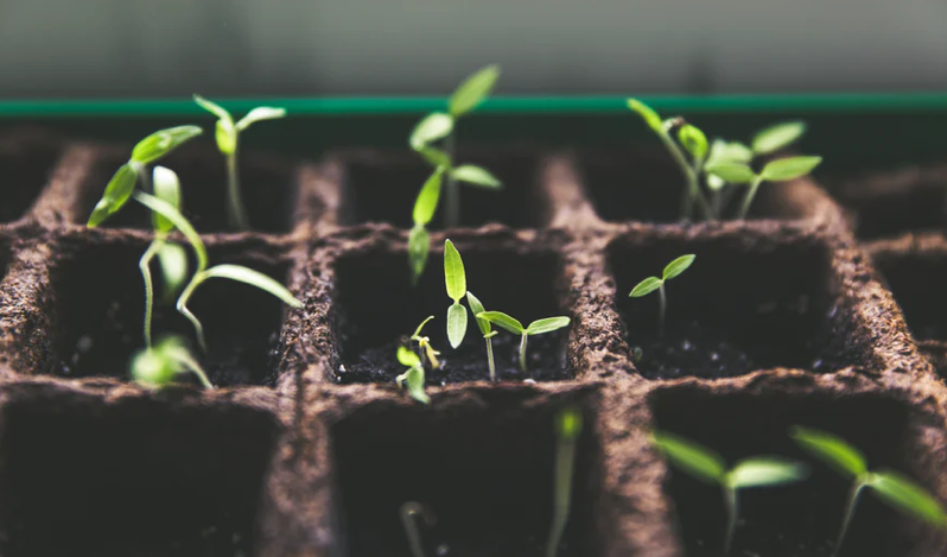 腾讯广告对谈心理学专家：理解「长视频营销价值」的四个关键问题