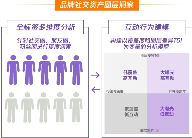 品牌社交资产圈层洞察