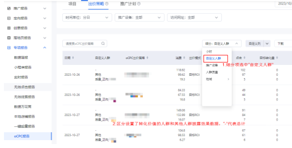 细分“自定义人群”查看数据