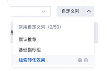 选择常用自定义列