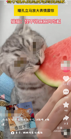 快手广告如何靠三大信任提效的？