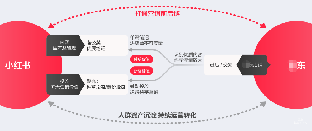 小红盟介绍，小红盟合作形式 | 小红书广告