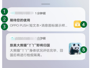 OPPO广告OPUSH创新样式小图&中图