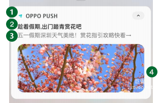 OPPO广告OPUSH创新样式大图