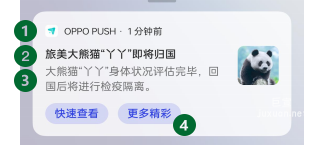 OPPO广告OPUSH创新样式按钮