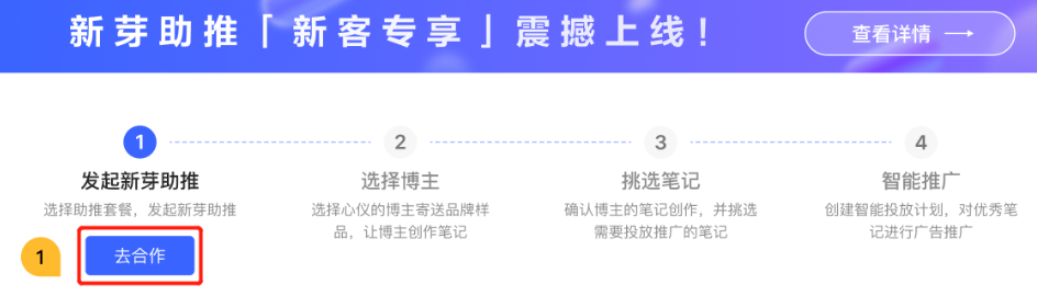 小红书广告新芽助推合作