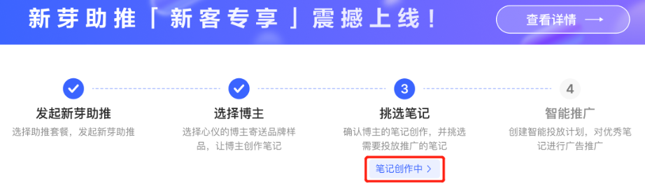 小红书广告笔记创作中